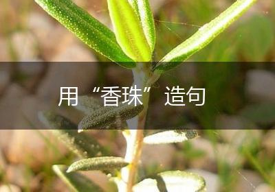 用“香珠”造句