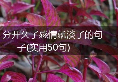 分开久了感情就淡了的句子(实用50句)