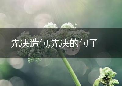 先决造句,先决的句子