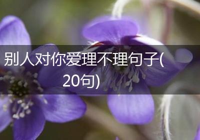 别人对你爱理不理句子(20句)