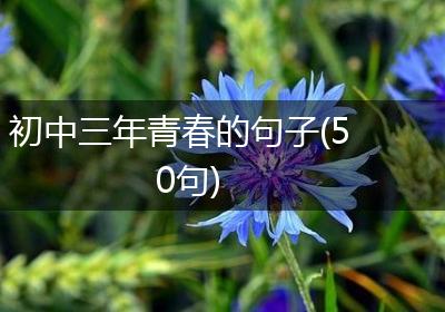 初中三年青春的句子(50句)