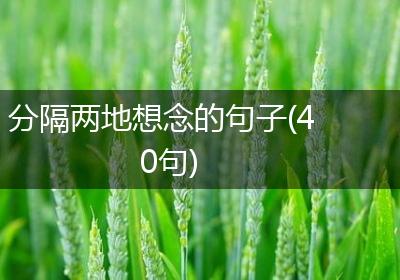 分隔两地想念的句子(40句)