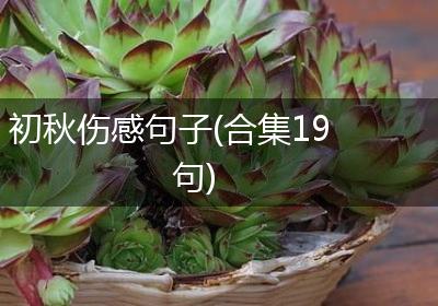 初秋伤感句子(合集19句)