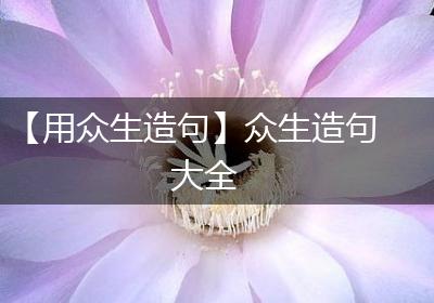 【用众生造句】众生造句大全