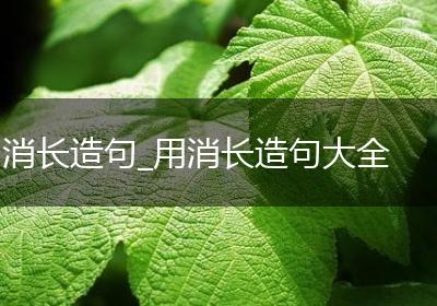 消长造句_用消长造句大全