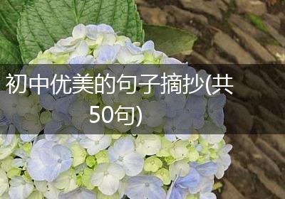 初中优美的句子摘抄(共50句)