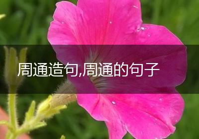 周通造句,周通的句子
