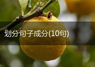 划分句子成分(10句)