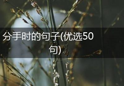 分手时的句子(优选50句)