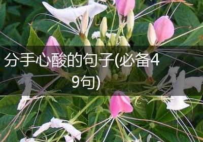 分手心酸的句子(必备49句)