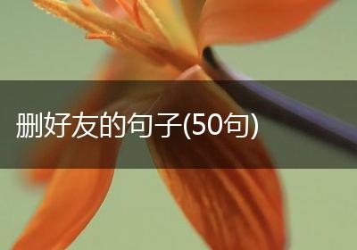 删好友的句子(50句)