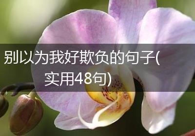 别以为我好欺负的句子(实用48句)