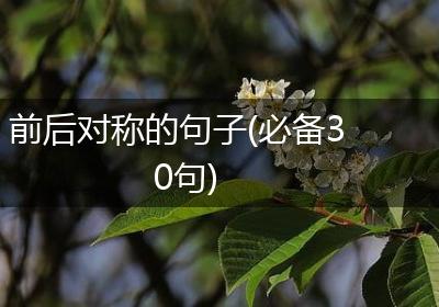 前后对称的句子(必备30句)