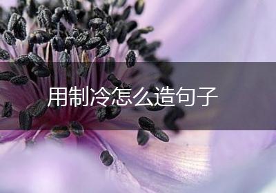用制冷怎么造句子