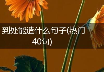 到处能造什么句子(热门40句)