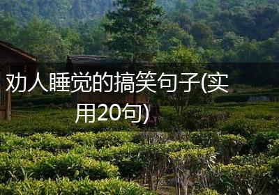 劝人睡觉的搞笑句子(实用20句)