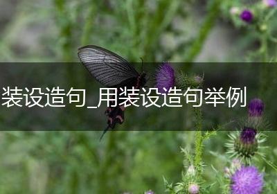 装设造句_用装设造句举例