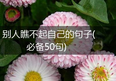 别人瞧不起自己的句子(必备50句)