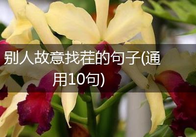 别人故意找茬的句子(通用10句)