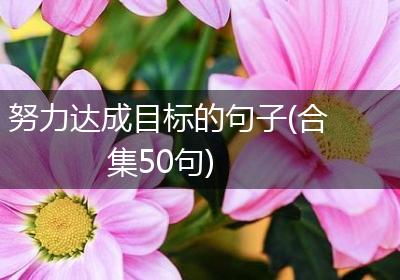 努力达成目标的句子(合集50句)