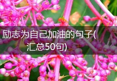 励志为自己加油的句子(汇总50句)