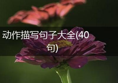 动作描写句子大全(40句)