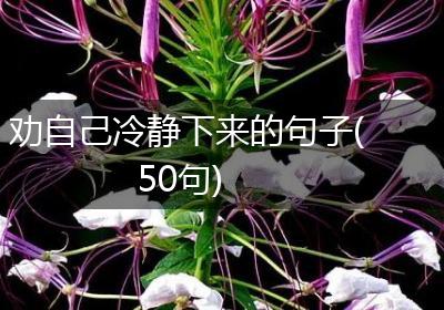 劝自己冷静下来的句子(50句)