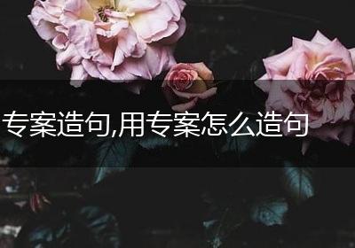 专案造句,用专案怎么造句
