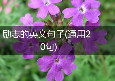 励志的英文句子(通用20句)