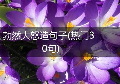 勃然大怒造句子(热门30句)