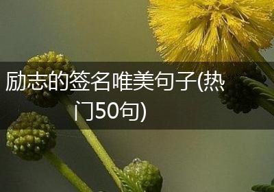 励志的签名唯美句子(热门50句)