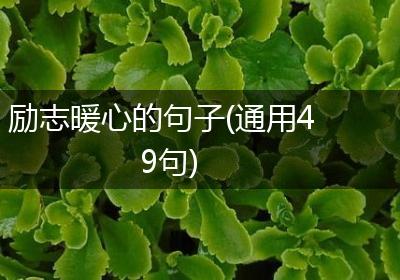 励志暖心的句子(通用49句)