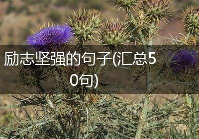 励志坚强的句子(汇总50句)