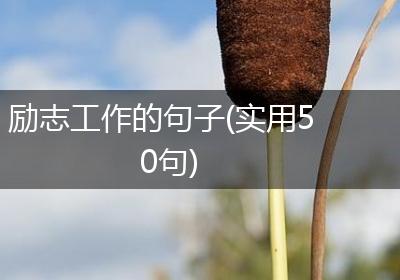 励志工作的句子(实用50句)