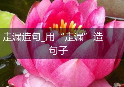 走漏造句_用“走漏”造句子