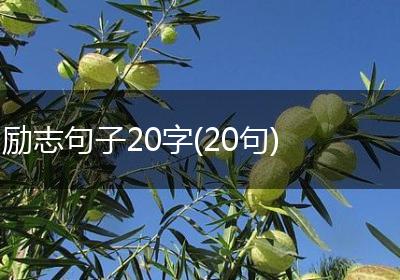 励志句子20字(20句)