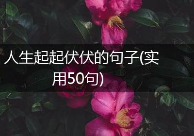 人生起起伏伏的句子(实用50句)