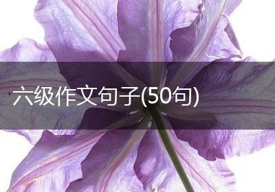 六级作文句子(50句)