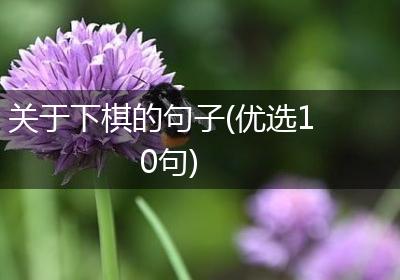 关于下棋的句子(优选10句)