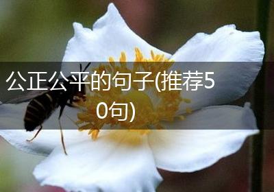 公正公平的句子(推荐50句)