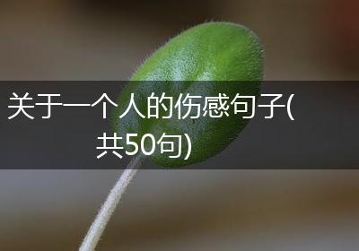 关于一个人的伤感句子(共50句)