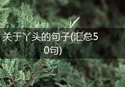 关于丫头的句子(汇总50句)