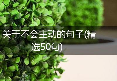 关于不会主动的句子(精选50句)