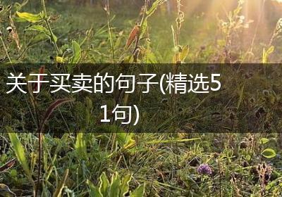 关于买卖的句子(精选51句)
