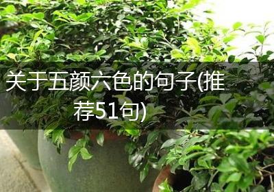 关于五颜六色的句子(推荐51句)