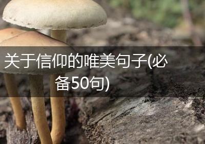 关于信仰的唯美句子(必备50句)