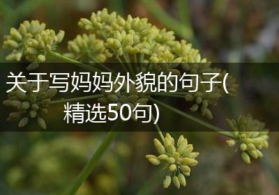 关于写妈妈外貌的句子(精选50句)