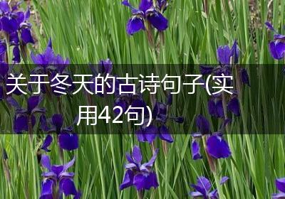 关于冬天的古诗句子(实用42句)