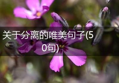 关于分离的唯美句子(50句)