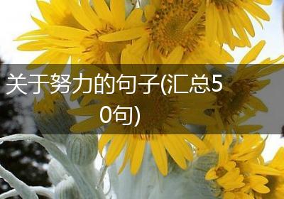 关于努力的句子(汇总50句)